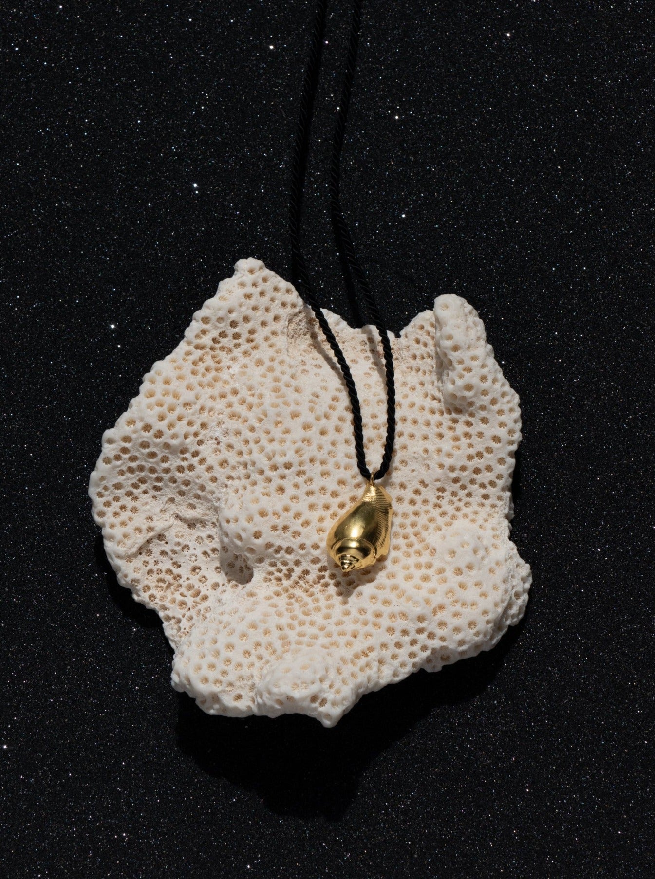 Atoll Conch Shell Black