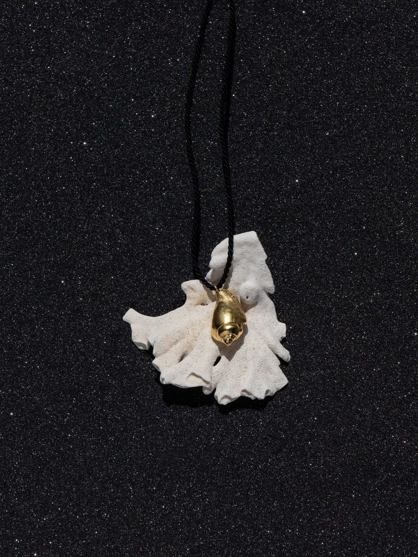 Atoll Conch Shell Black