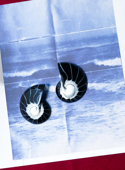 Black Nautilus Shell Earrings