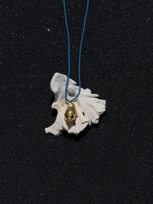Atoll Conch Shell Blue
