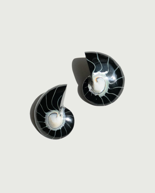 Black nautilus earrings shell earrings 