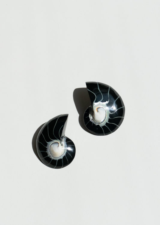 Black Nautilus Shell Earrings
