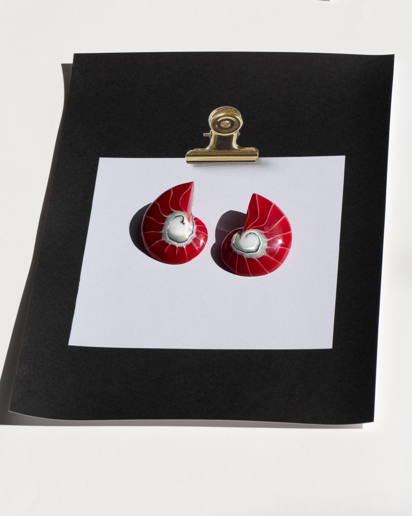Red Nautilus Shell Earrings