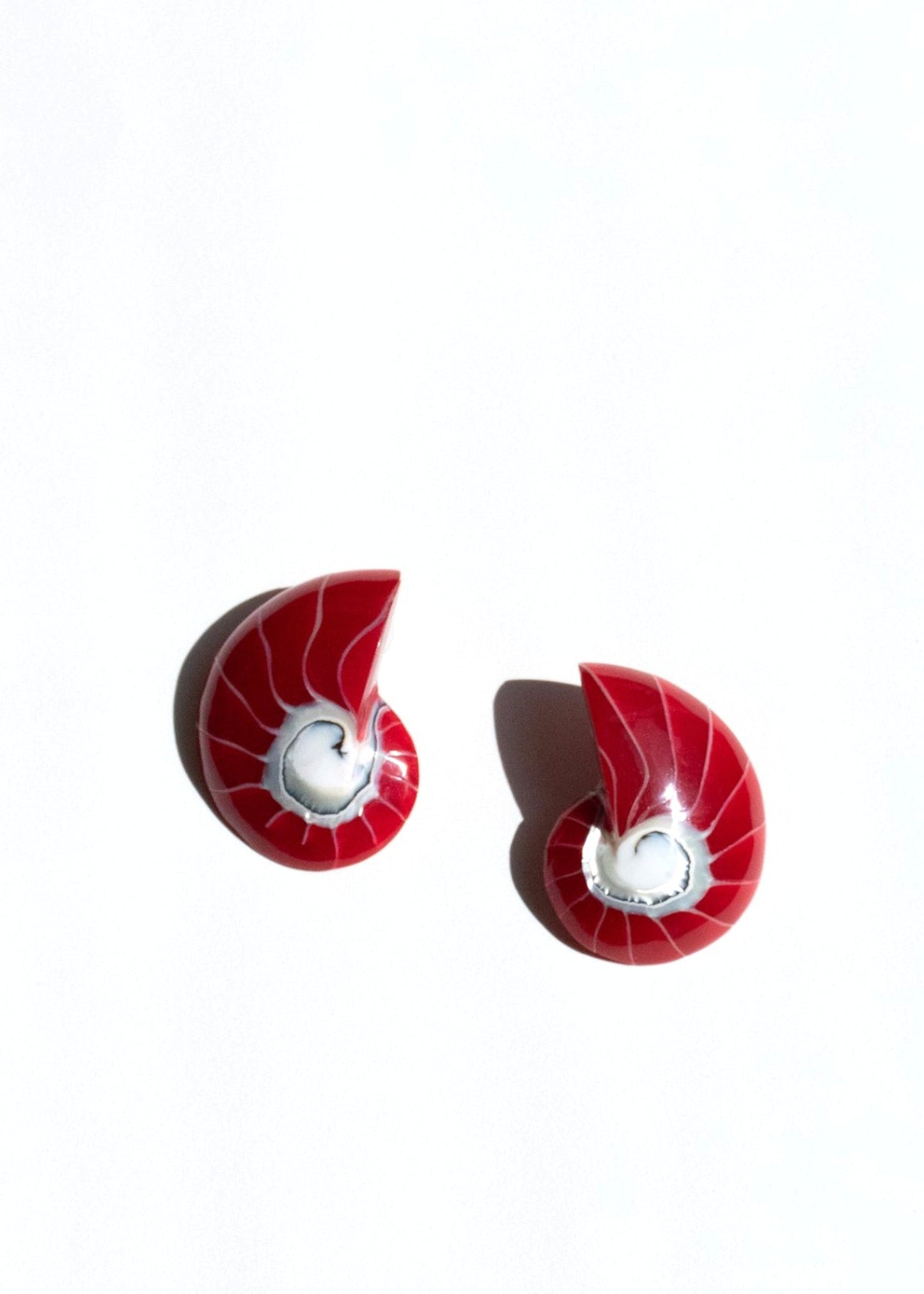 Red Nautilus Shell Earrings