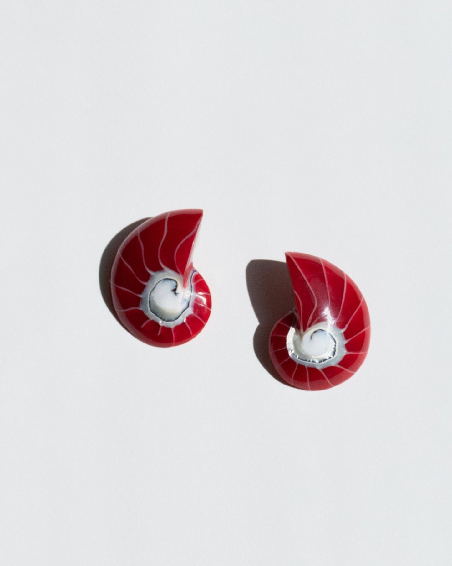 Red Nautilus Shell Earrings